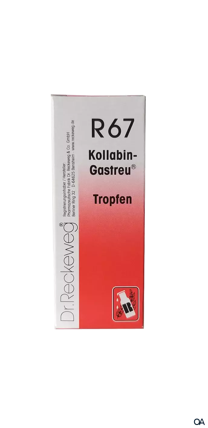 Dr. Reckeweg® Kollabin-Gastreu® R67 Tropfen