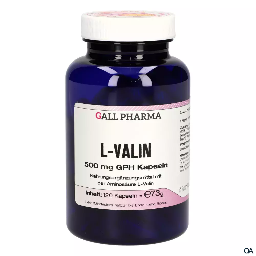 Gall Pharma L-Valin 500 mg Kapseln